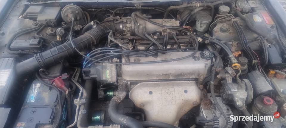 Honda Accord coupe 22 części wielkopolskie Czajków