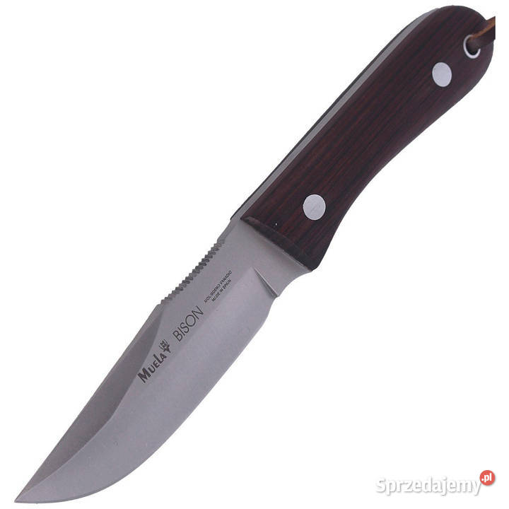 Nóż Muela Bison9NL Palisander Wood Satin Akcesoria, narzędzia i noże sprzedam