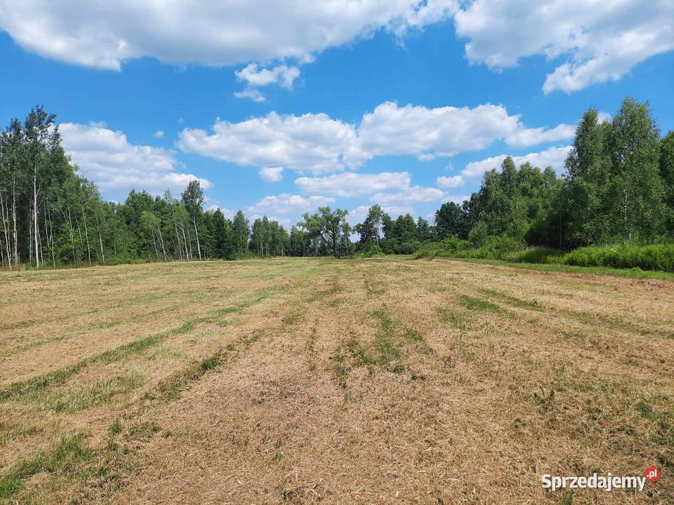 Sprzedam dwie działki Wołomina 34 ha Cięciwa Wołomin