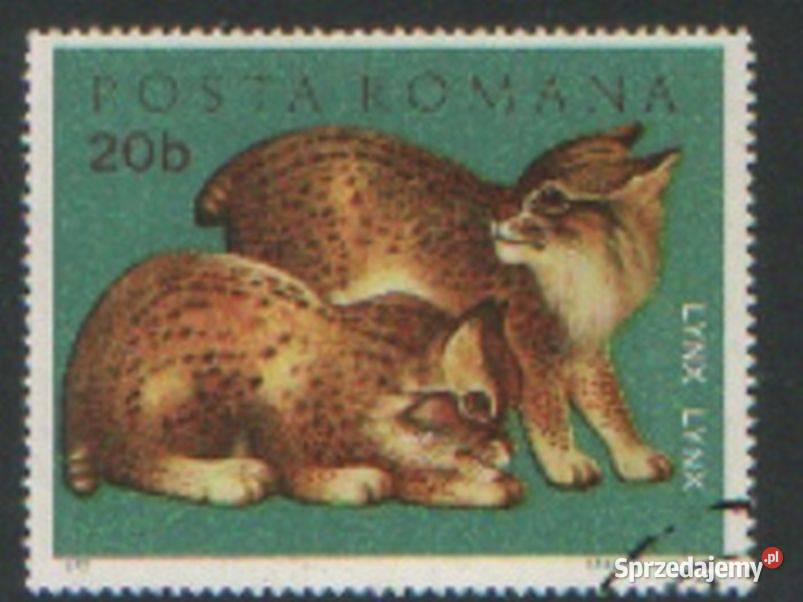 Zn Rumunia Mi 3005 kas 1972