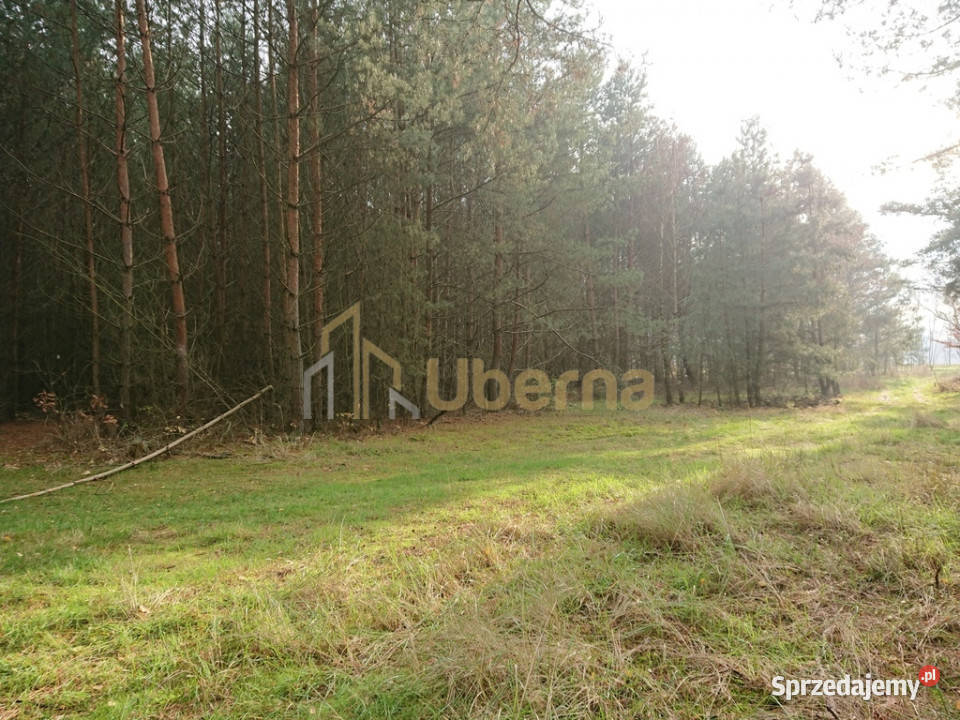 Działka Starzyce