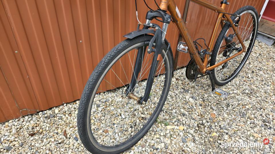 Rower Rama aluminiowa 19 Miejskie Zgorzelec