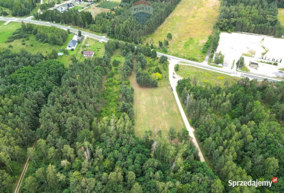 Działka budowlana 3000m2 Czekaj gm Mszczonów Sprzedaż