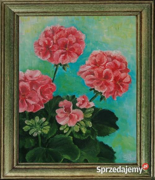 Obraz olejny Pelargonie Lublin