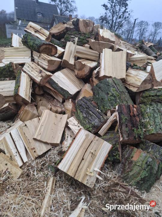 Drewno kominkowe liściaste Pobiedziska