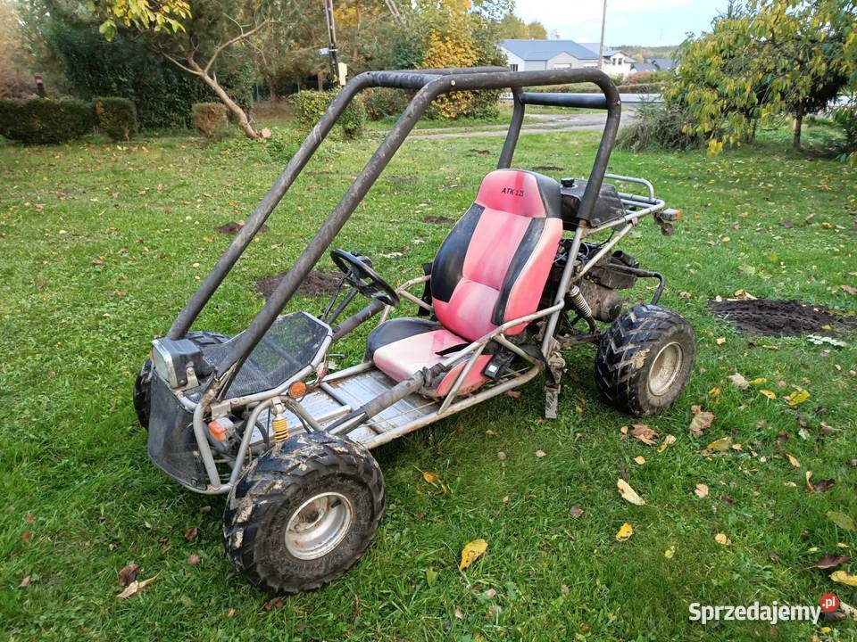 BUGGY Adly ATK 125 quad gokard 1253 Oryginalnej pomorskie Kartuzy sprzedam