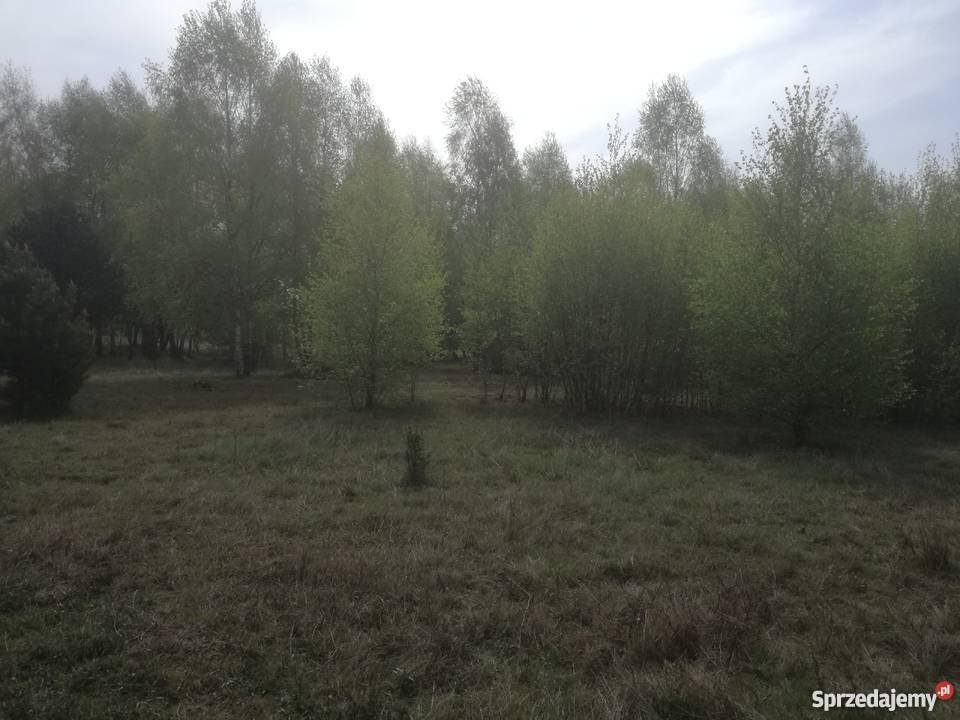 Sprzeda działkę budowlaną w Cygance z WZ Cyganka