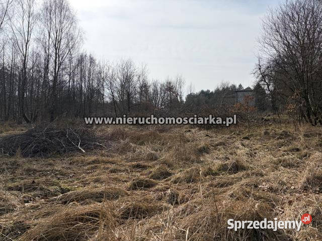 Działka Wodzisław Śląski 1353m2 Sprzedaż śląskie