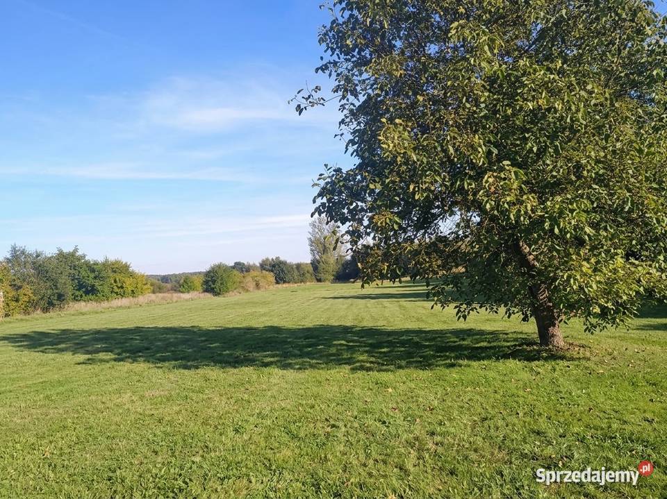 DOM Z ZABUDOWANIAMI I DUŻĄ DZIAŁKĄSKRZATUSZ 1 piętro