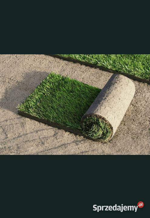 Zakładanie Trawników z Rolki