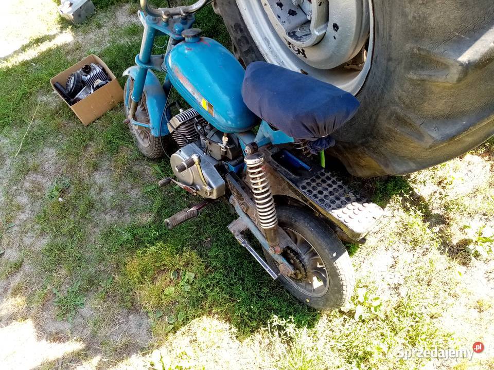 Motorynka Romet Pony 50 niebieski Turznice