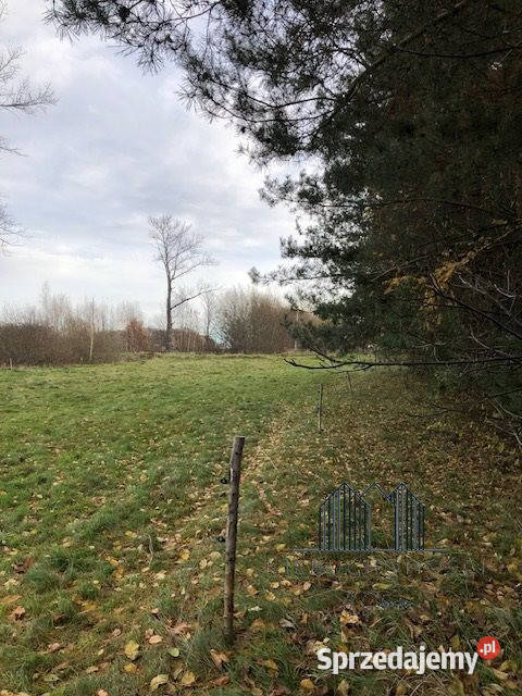 Dom wolnostojący Zalipie 180m2 sprzedam