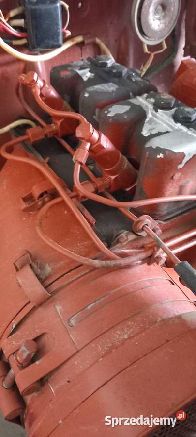 Wladymirec t25 oryginał igielka Jangrot