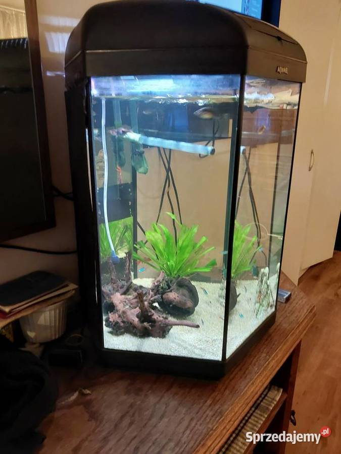 Akwarium 60 l oświetlenie napowietrzacz