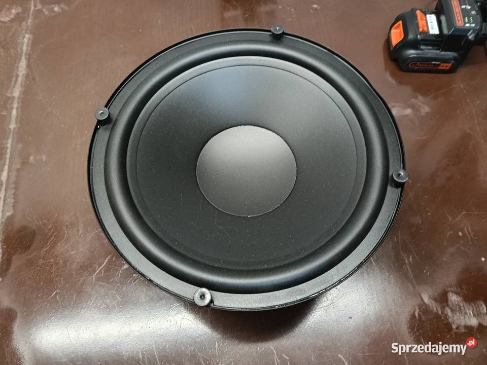2 x Głośniki basowe samochodowe 250 mm Głośniki Opalenica