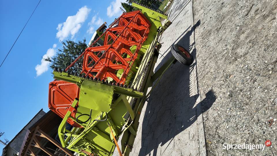 Heder ze stołem do rzepaku 39m wózek Maków sprzedam