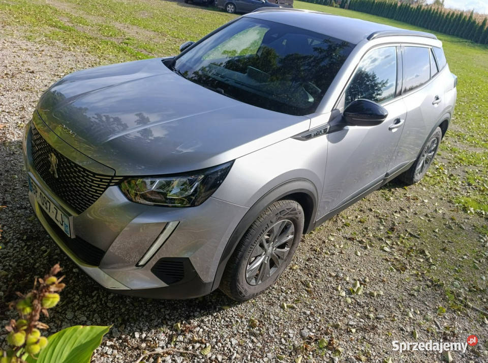 Peugeot 2008 2008 8 II 2019 Pleszew