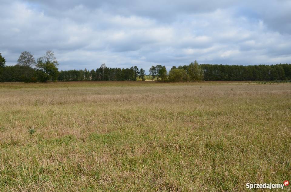Piękna działka jez Białe woda Gostynin
