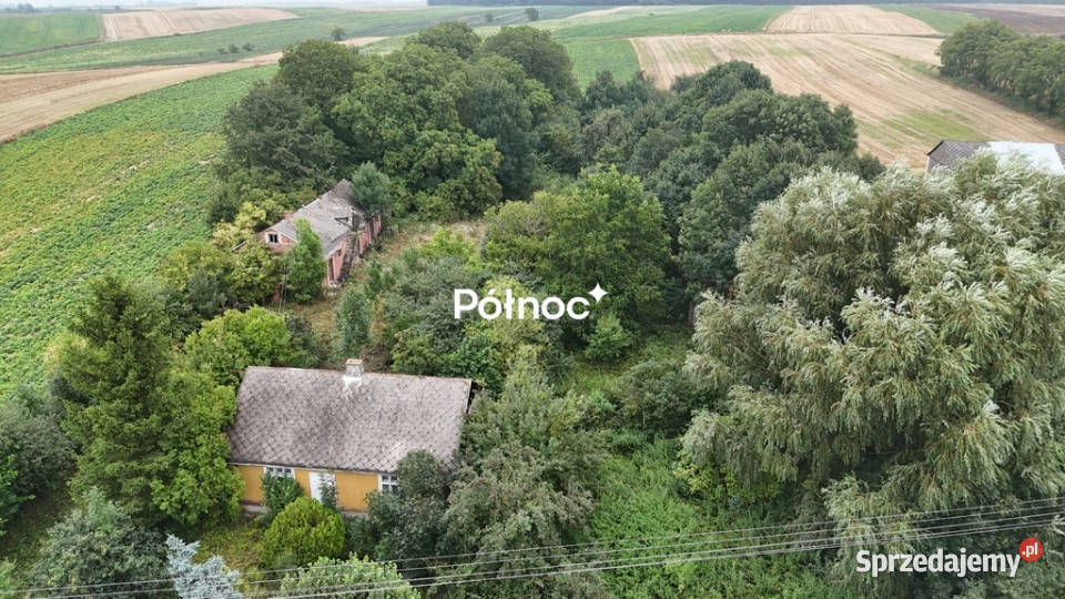 Gospodarstwo rolne dom pole i sad 088 ha asfalt lubelskie Telatyn