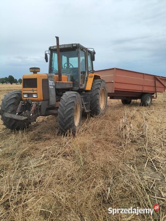 Renault 17574 Ścinawa