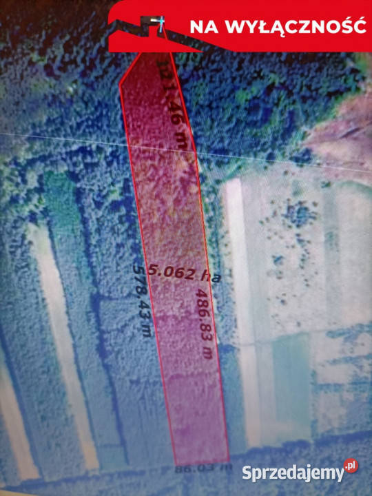 Działka leśna 390 ha w Brodach gm Pierzchnica Brody sprzedam