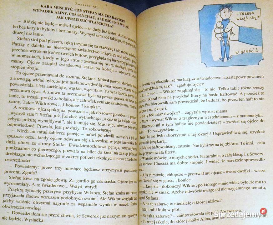 Tajemnica zielonej pieczęci Hanna Ożogowska Chełm