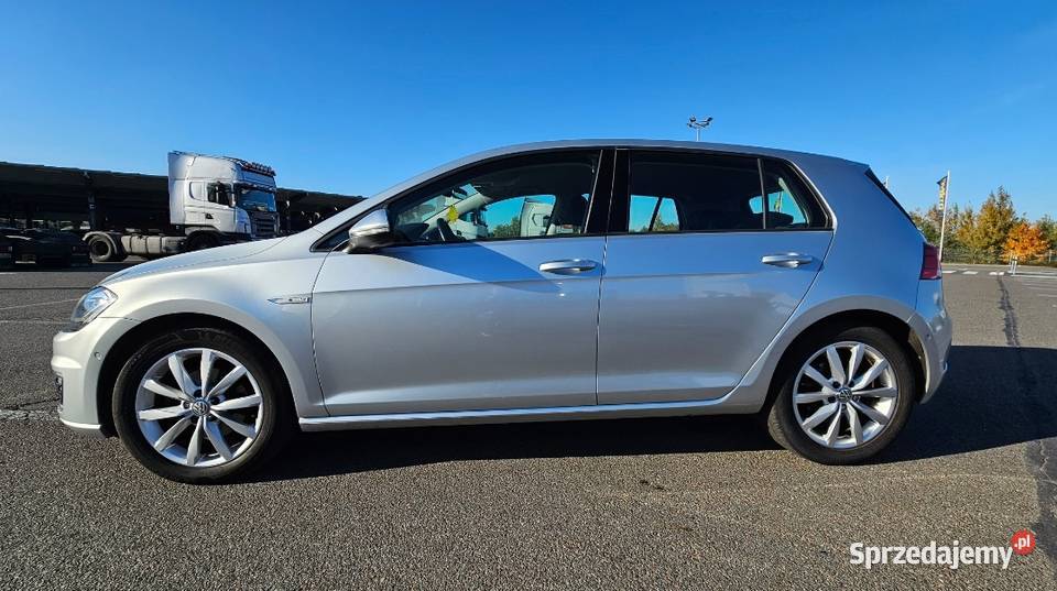 Vw E GOLF Elektryk JEDYNY TAKI Bogata Wersja Zielona Góra