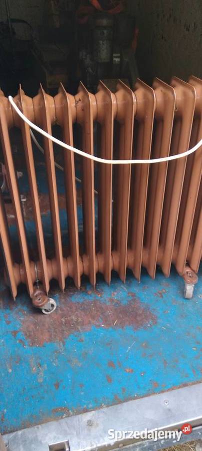 Grzejnik elektryczny olejowy Mayer Koło