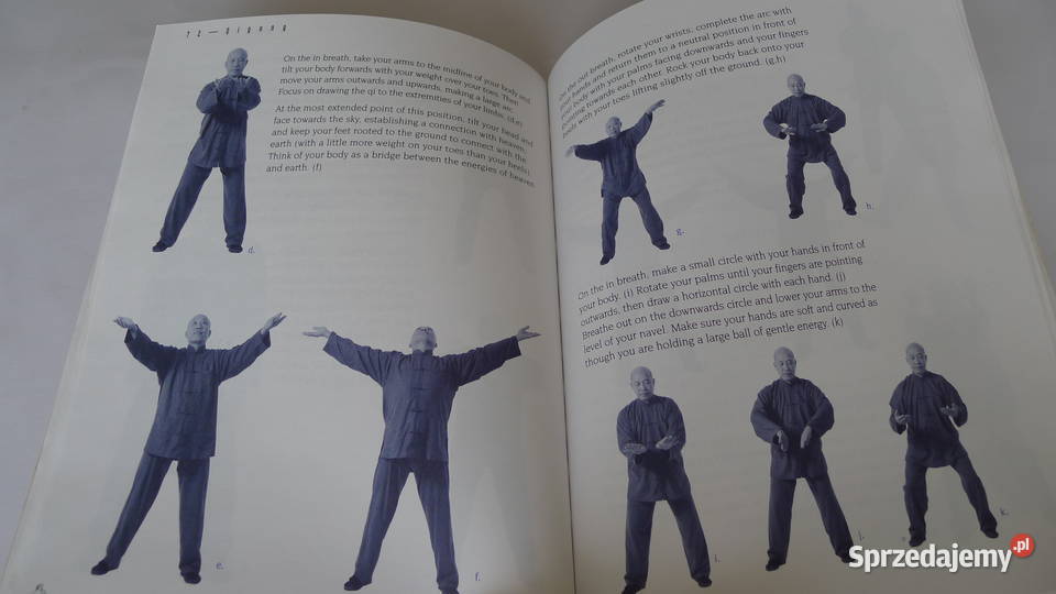 HOWARD CHOY Siu Lohan Qigong Chi KungChoy Lee Radom
