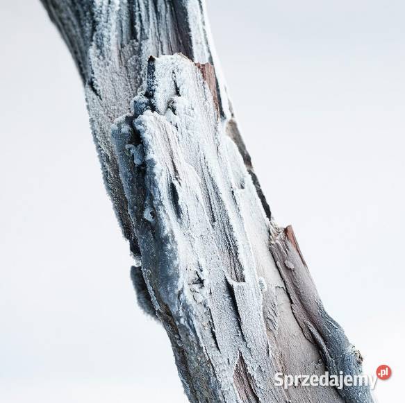 Perfumy męskie Bvlgari Glacial Essence doskonałe Białystok