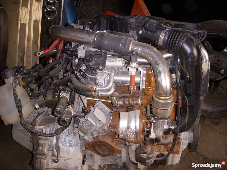 Dacia Duster 1500 dci silnik nowy 6800 czesci sprowadzony Rzeszów sprzedam