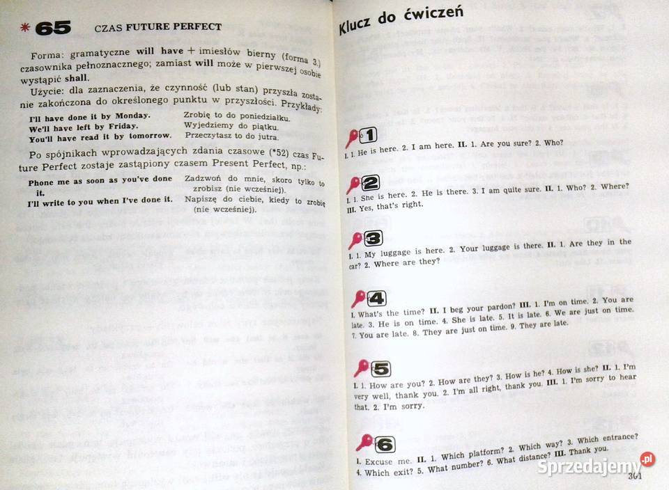 Have a nice trip David Frank Nash Leon Leszek Chełm