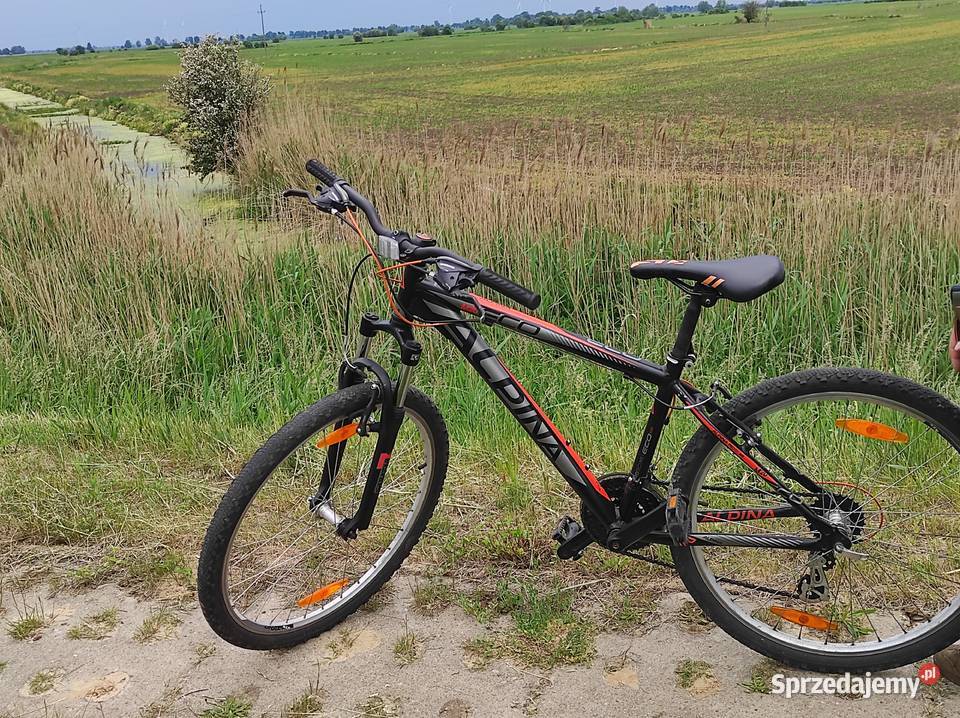 Rower Alpina M20 ECO Nowy Dwór Gdański