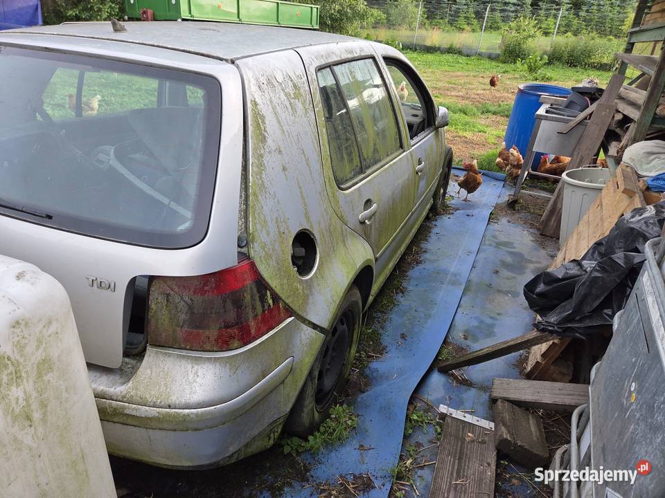Golf 4 19tdi Samochody osobowe Szczecin