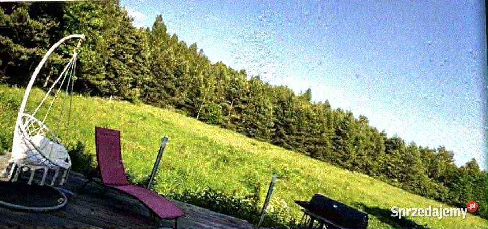 działka pod budowę domu Sprzedaż Kolonia Piaski