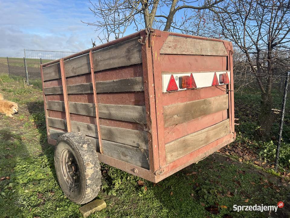 Sprzedam dużą klatkę Sędziszów