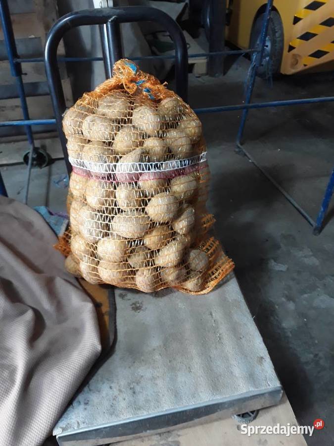 sprzedam ziemniaki sprzedam