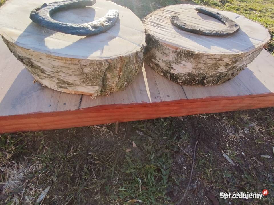 Podkowy na pniu drzewa brzoza wysyłka kujawsko-pomorskie Szubin