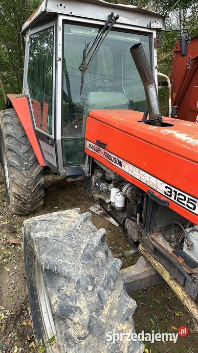 Mf 3125 Części Klimontów