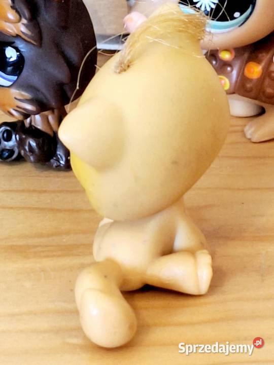 Shorthsir kotek kitka Littlest Pet Shop Braniewo