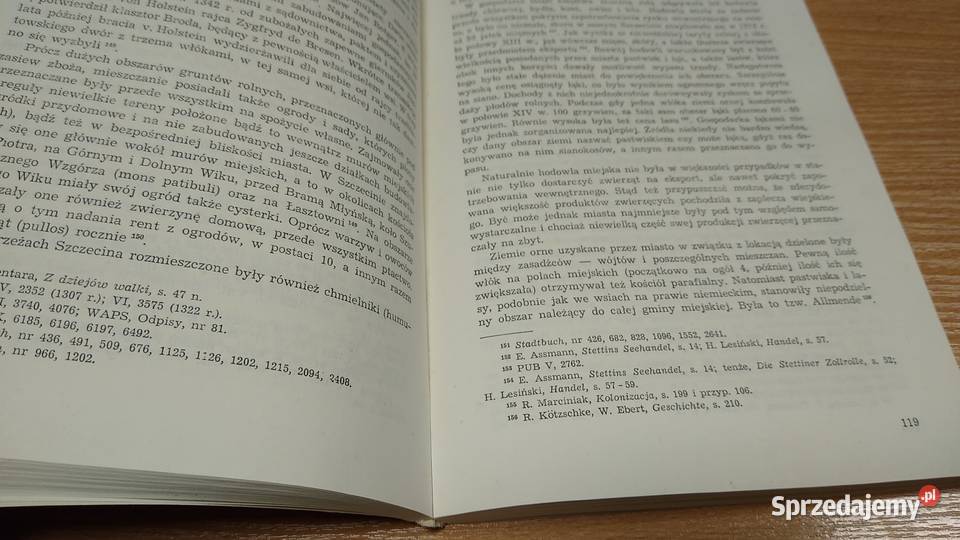 Miasta księstwa szczecińskiego do połowy XIV Gdańsk