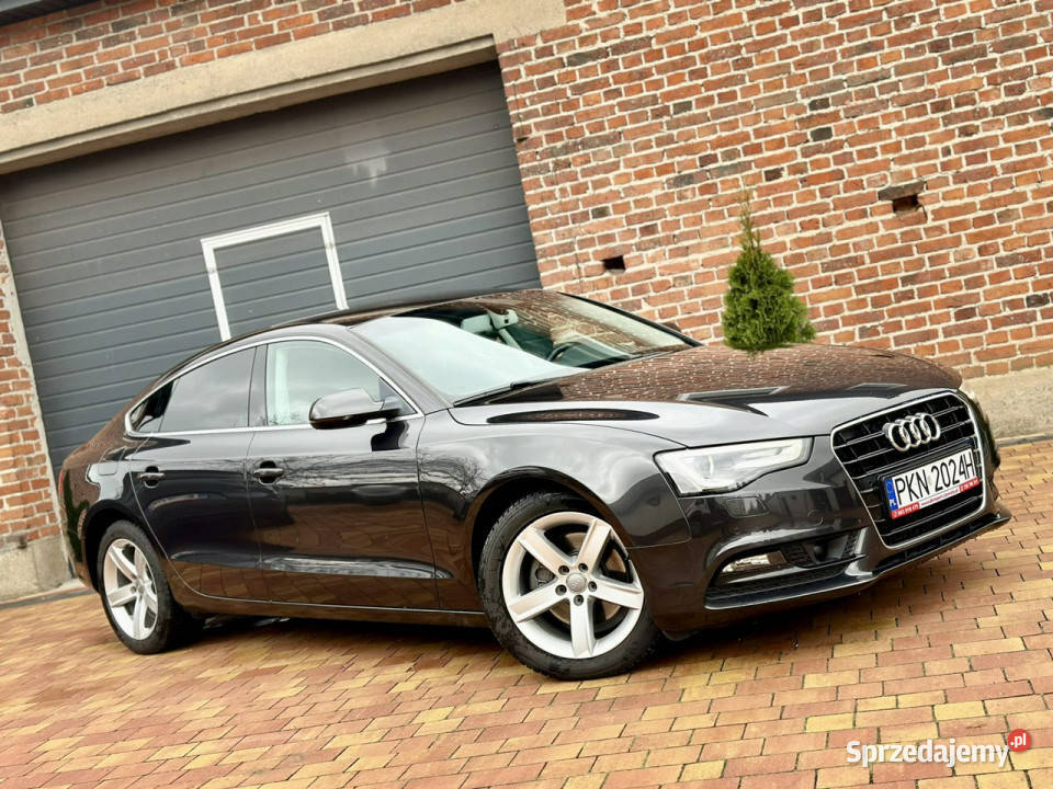 Audi A5 Zweryfikowany CarVertical 8T 20072016 Sadlno sprzedam