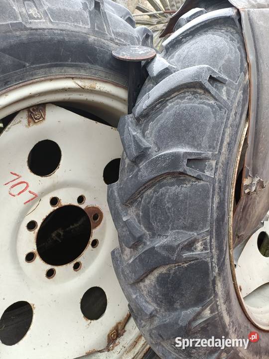 Koła 12438 Włocławek