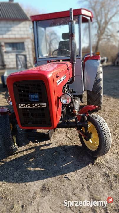 Ciągnik c 360 zarejestrowany Rybno