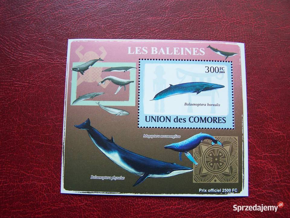 Komory 2009 MNH Fauna Wieloryby Nakład 2500 Tychy sprzedam