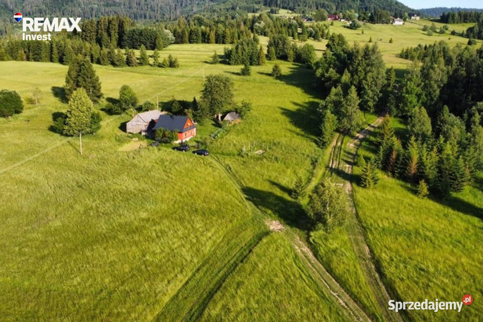 Górska enklawa 25 ha wolności 40zł/m2 Sprzedaż Glinka sprzedam