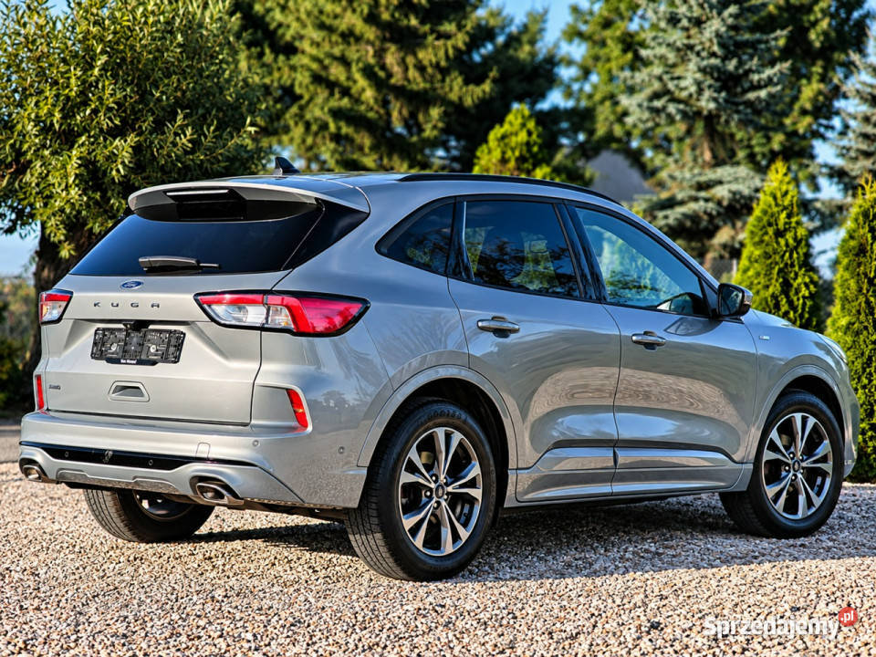Ford Kuga III 2019 Sadlno