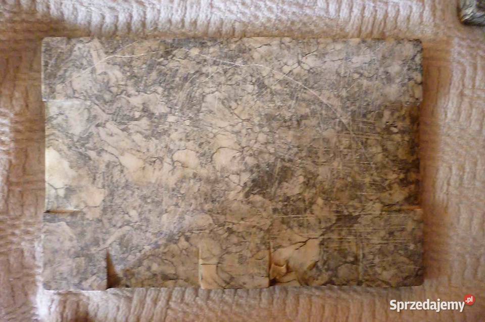 KALAMARZ MARMURKOWY Kraków