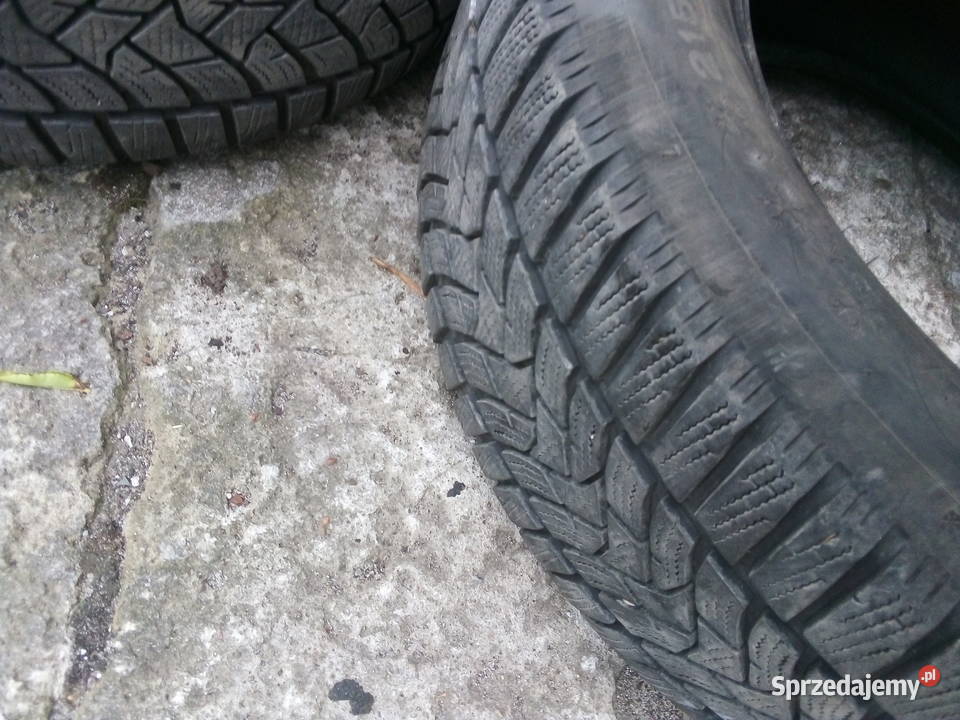 dunlop winter sport 5 Warszawa