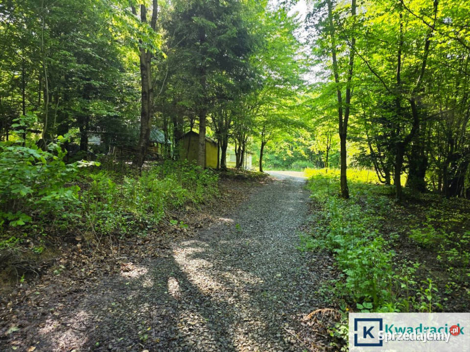 Działka Płowce 8242m2 Nieruchomości